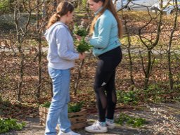 2024_03_22_palmbuschen  012